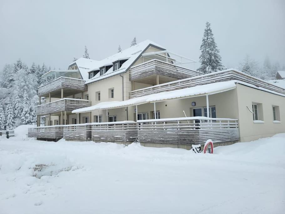 Appartement Chaleureux Au Pied Des Pistes Orbey Extérieur photo
